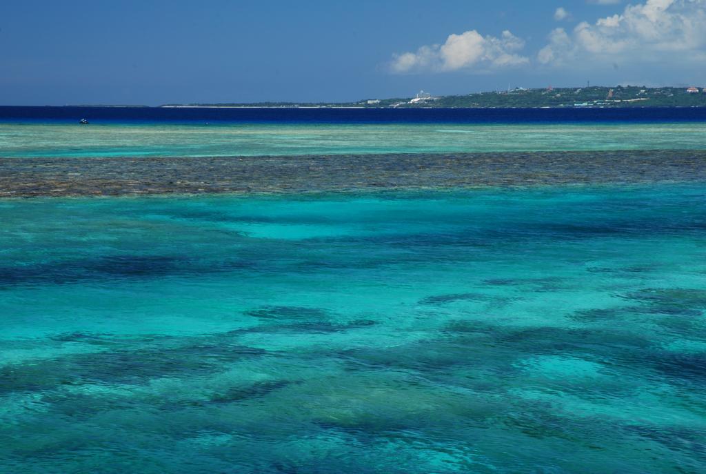 Yukurinaresort Okinawa Hills Churaumi Мотобу Екстер'єр фото
